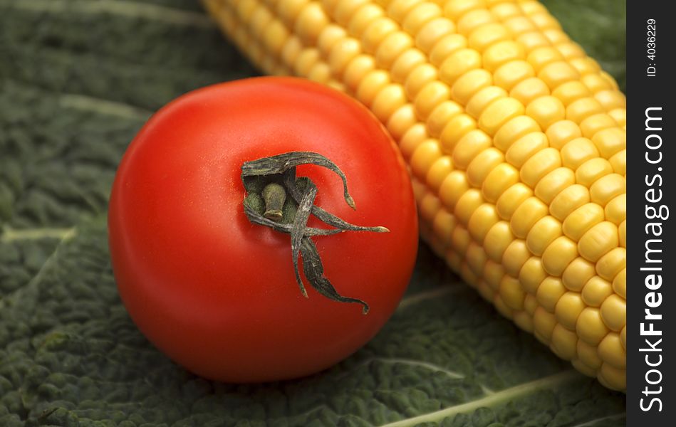 Tomato on corn and greens background. Tomato on corn and greens background