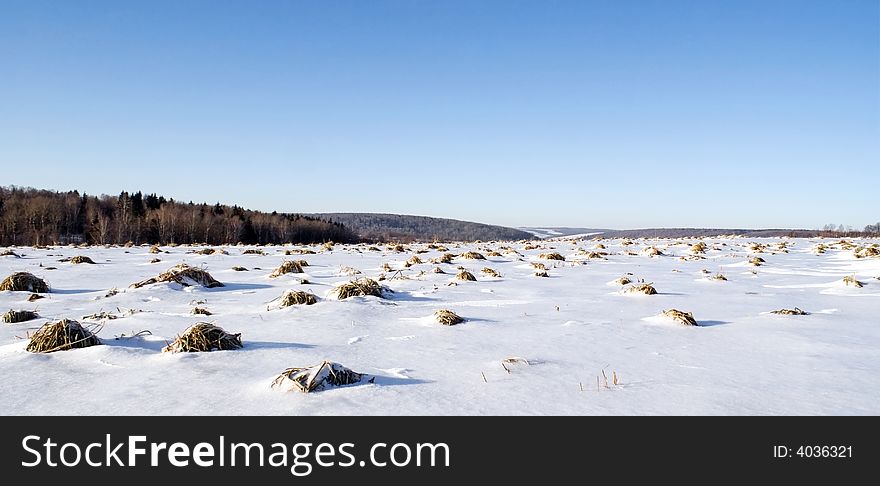 Landscape, snow field, hills are covered the forest, clean, blue sky, frosty sun day. Landscape, snow field, hills are covered the forest, clean, blue sky, frosty sun day.