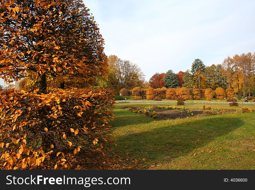 Beautiful Trimmed For The Bushes Autumn