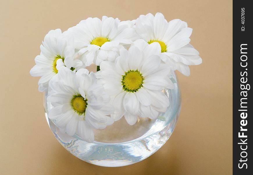 A bouquet of daisies in glass vase