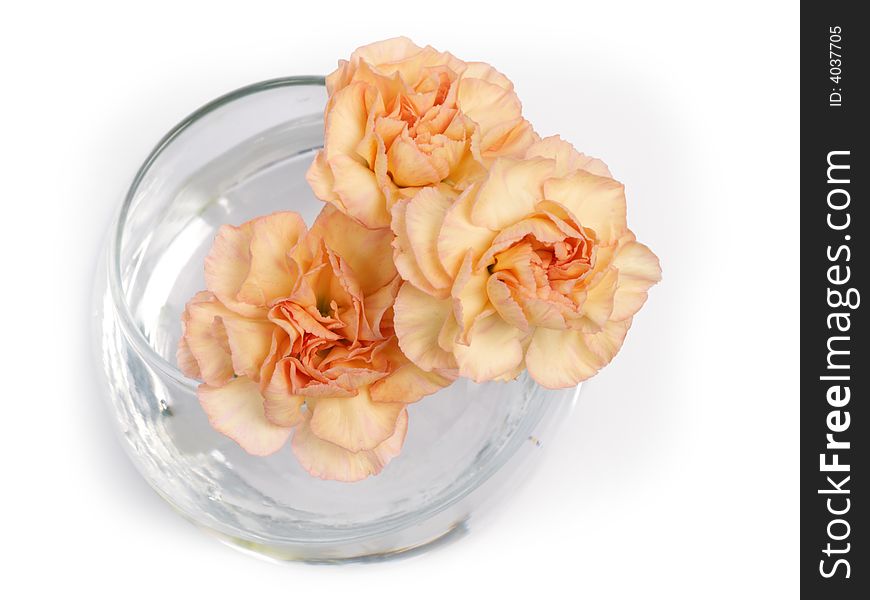 A bouquet of carnations in glass vase on white