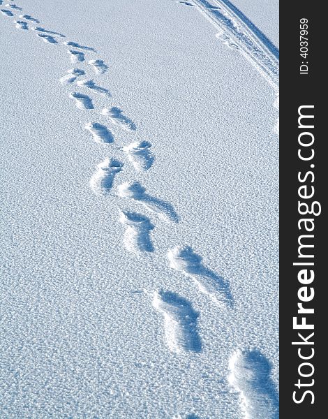 Traces on snow. Winter path