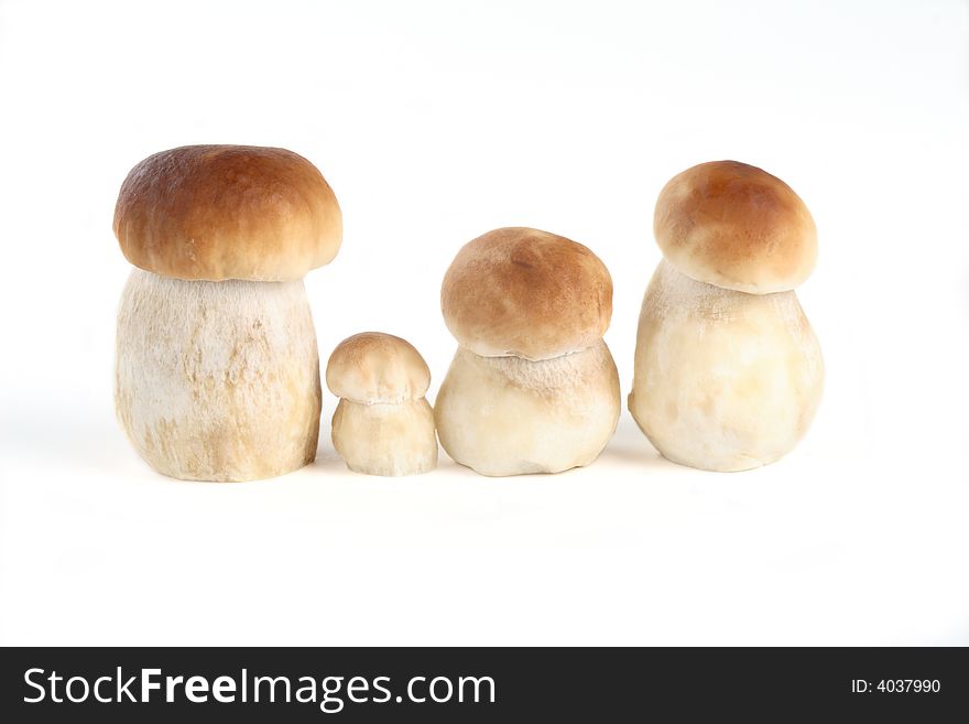 Fresh mushrooms on the white background