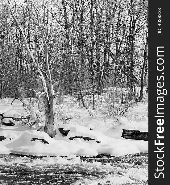 Barren winter forest, snow, and icy riverbank. 6x7 drum scan. Barren winter forest, snow, and icy riverbank. 6x7 drum scan.
