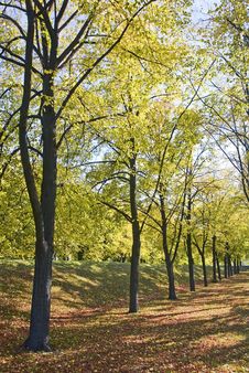 Autumn Park Royalty Free Stock Images Autumn Park Royalty Free Stock Images