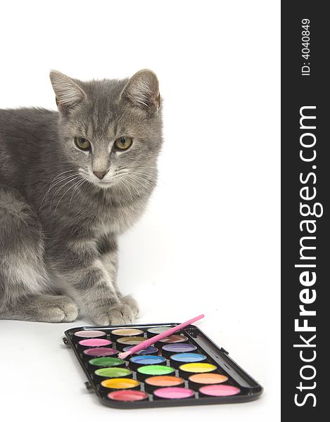 Kitten sitting next to a set of paints on white background. Kitten sitting next to a set of paints on white background