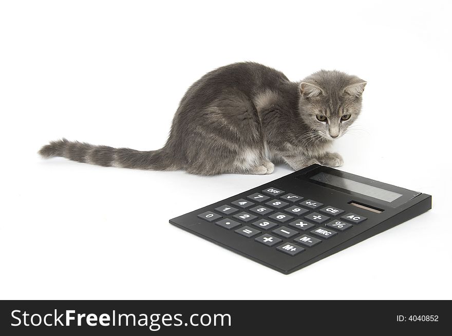 A kitten sits next to a calculator on a white background. A kitten sits next to a calculator on a white background.