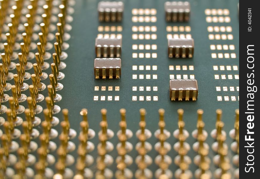 Processor with golden pins closeup. shallow dof. Processor with golden pins closeup. shallow dof