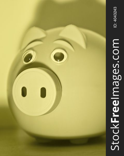 Piggy bank close up concept