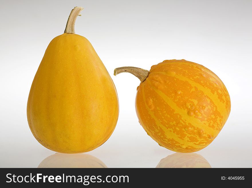 Two pumpkin on white background