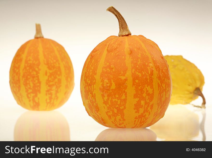 Tree pumpkins on white background