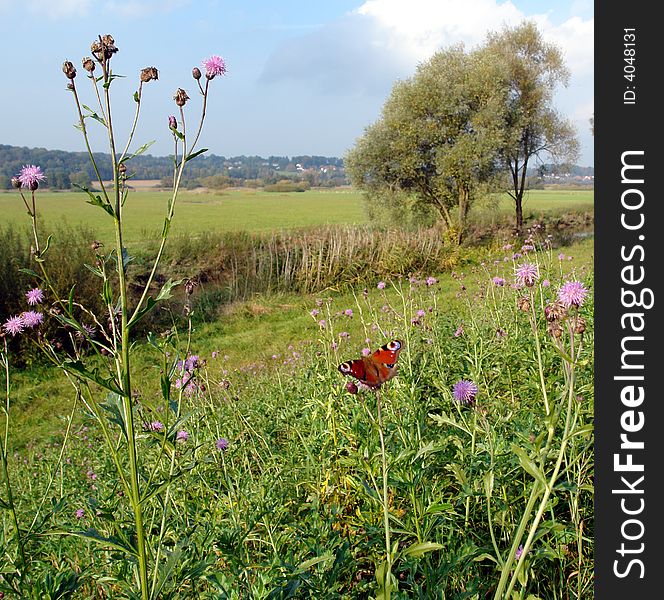 The butterfly,flowers and Bavarian Landscape.  Trees ,green field , hills clouds and sky at the distance .