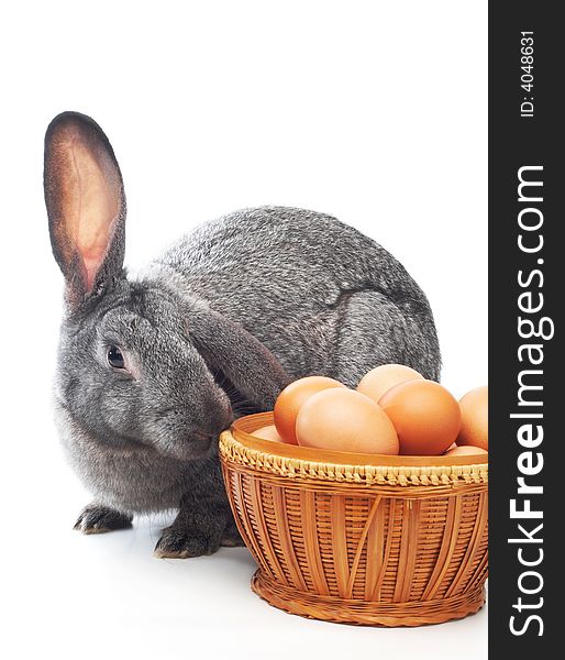 Rabbit near to basket with eggs isolated on white. Rabbit near to basket with eggs isolated on white