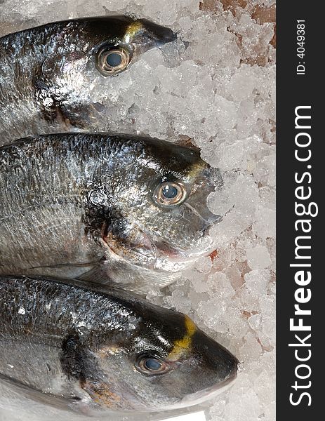 Close view of bream heads on fishmonger's slab, on ice. Close view of bream heads on fishmonger's slab, on ice