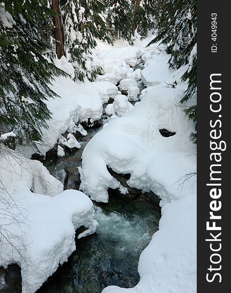 Heavy snow at Denny Creek in Washington State