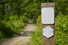Forest Road Sign Stock Photo Forest Road Sign Stock Photo