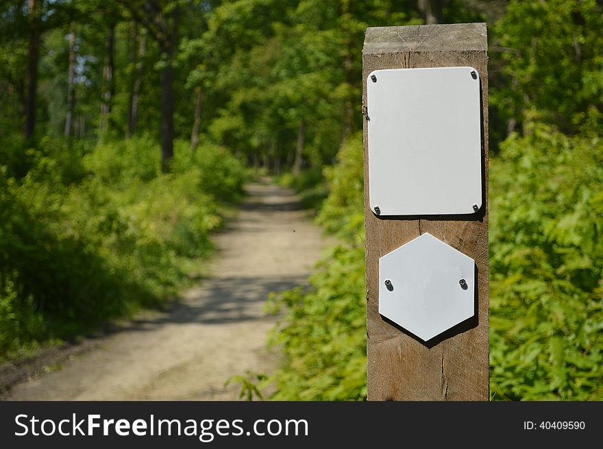 Blank road sign in a forest. Blank road sign in a forest