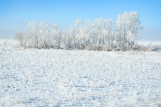 White Winter Stock Photo White Winter Stock Photo