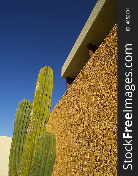 Garden detail in Los Cabos in Baja California Sur, Mexico. Garden detail in Los Cabos in Baja California Sur, Mexico