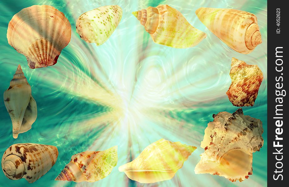 Background from beautiful sea shells