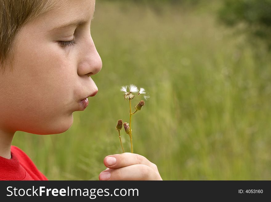 Boy Blowing Thistle