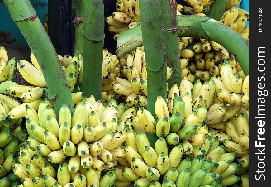 Bananas for sale in an indian market