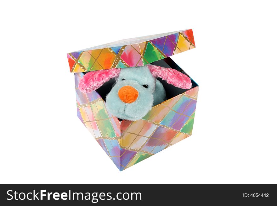 The toy puppy in the gift box, isolated on a white background