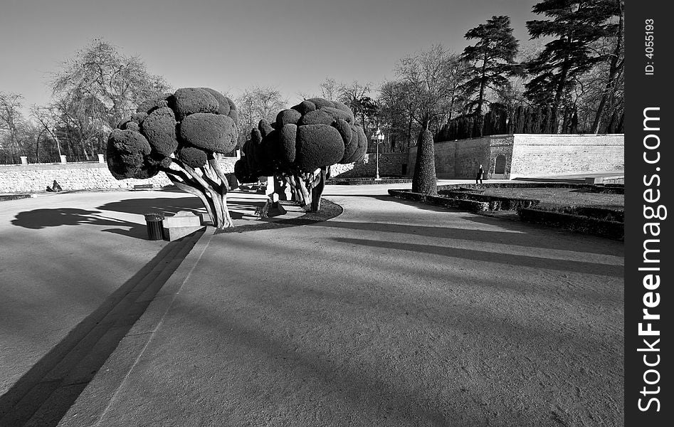 Retiro Park, madrid in black and white. Retiro Park, madrid in black and white