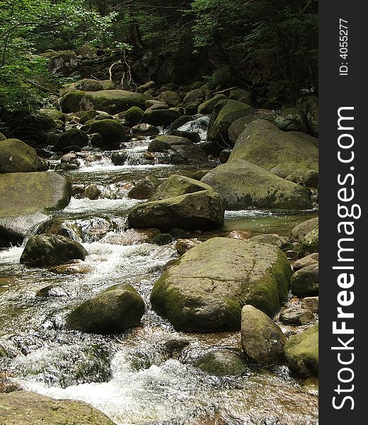 Brook In Mountain