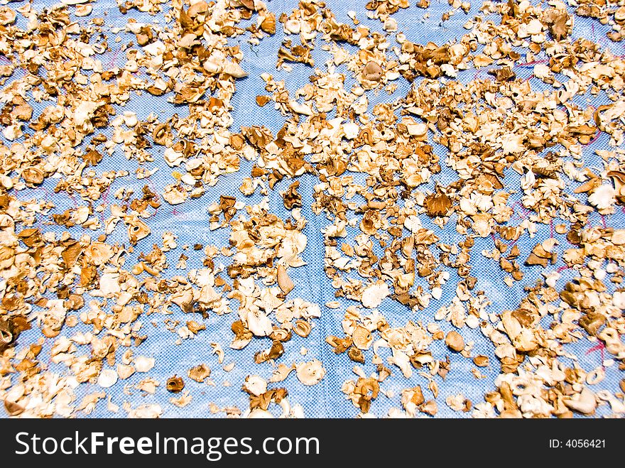 Mushrooms Being Dried Up On The Ground