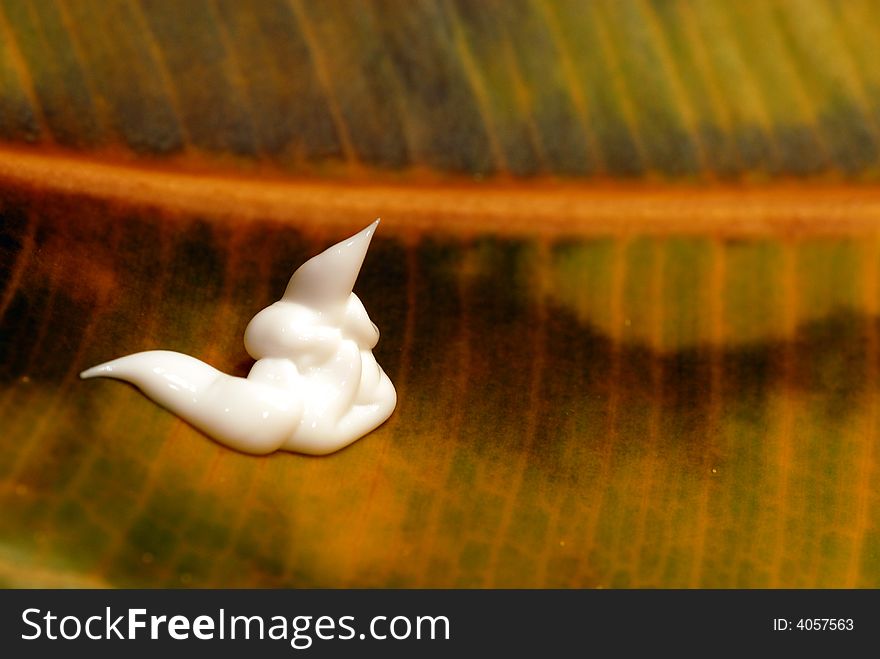 Close up shot of lotion on a dry leaf
