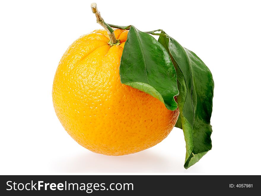 A closed up shot of an orange with leaves isolated on white (with faint shadow)