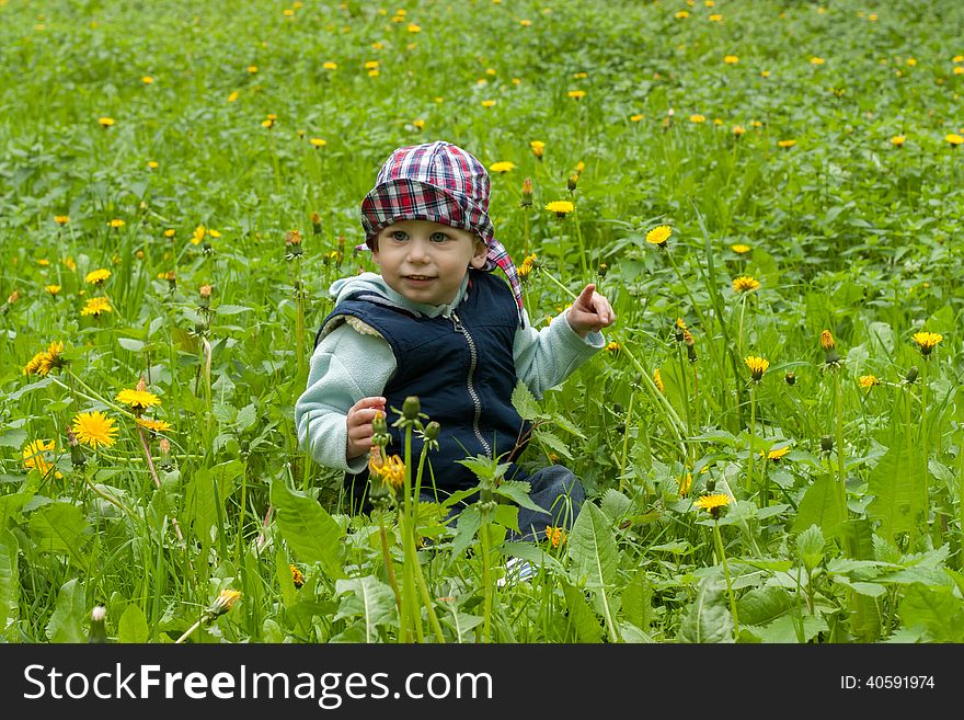 One and a half year old boy child on the lawn with dandelions