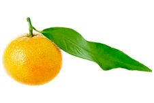 Tangerine With Leaf Royalty Free Stock Photo Tangerine With Leaf Royalty Free Stock Photo