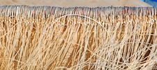 Morocco, Essaouira: Close-up Of Hooks Stock Photography Morocco, Essaouira: Close-up Of Hooks Stock Photography