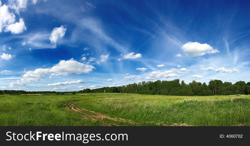 Summer landscape with blue sky and field of green in the middle of Russia