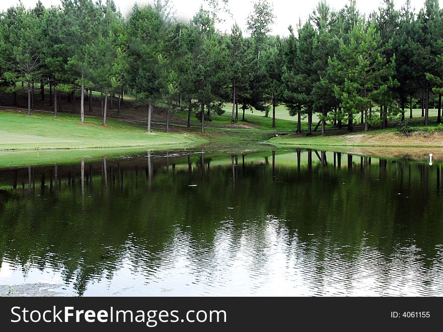 Pine Trees reflecting with much glory in a lake surrounded by green grass. Pine Trees reflecting with much glory in a lake surrounded by green grass.