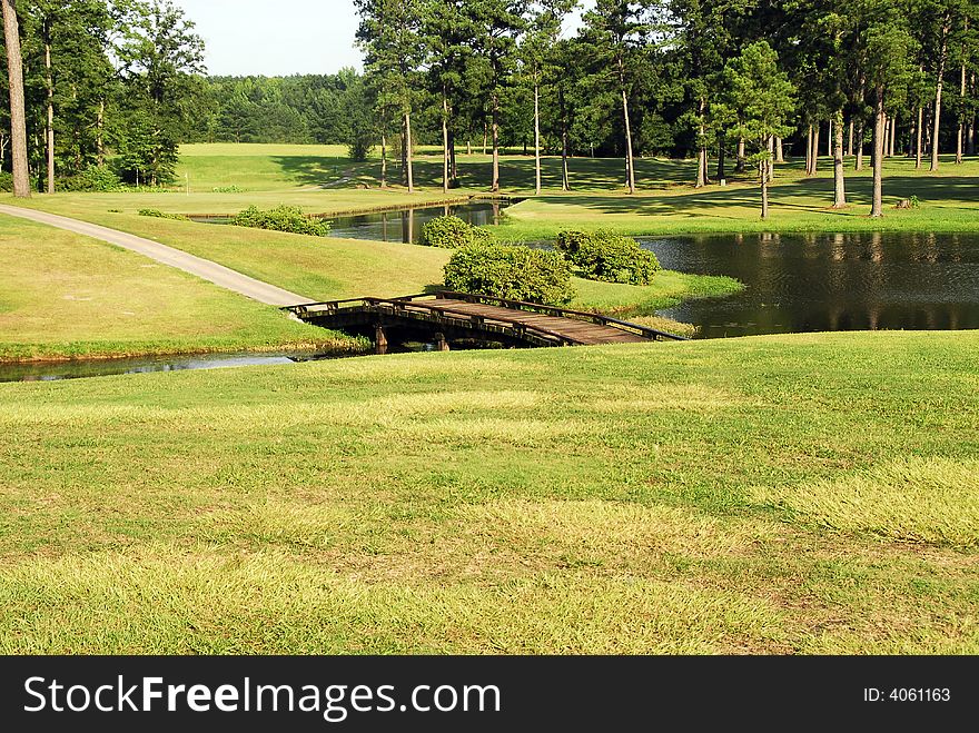 Landscape of a wooden bridge, water, reflection, trees, 

plants and a path.