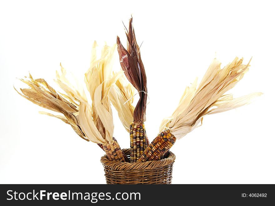 Indian Corn on the cob with tassels in rustic basket.