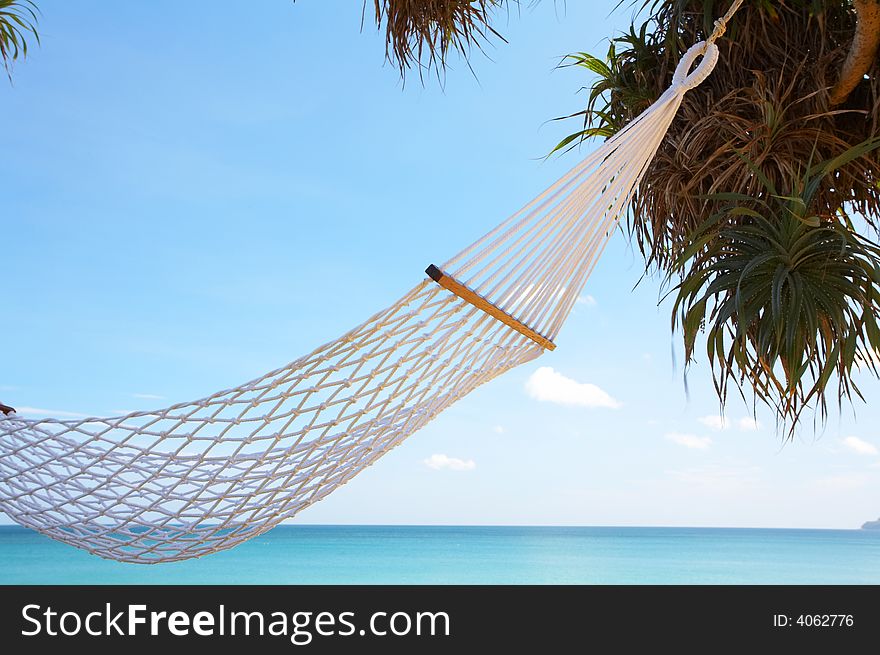 View of nice white hammock hanging between two palms. View of nice white hammock hanging between two palms