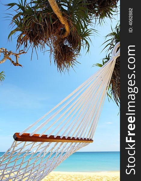View of nice white hammock hanging between two palms. View of nice white hammock hanging between two palms
