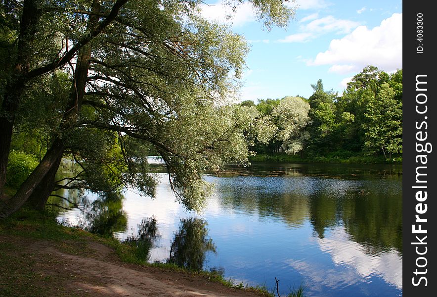 Summer landscape with a small lake