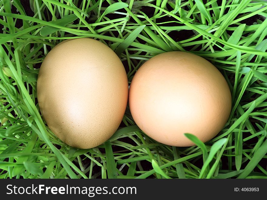 Easter Eggs In Green Grass