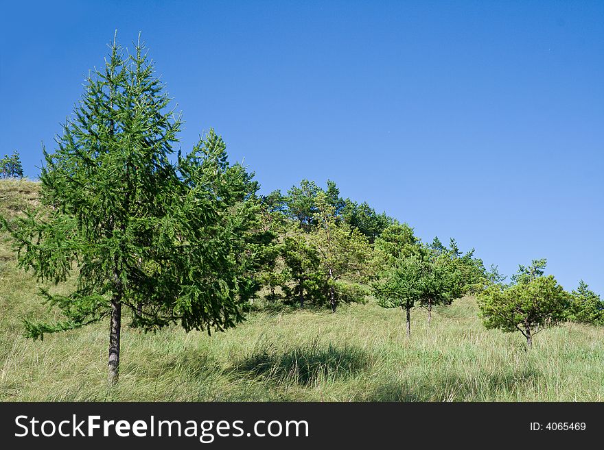 Landscape with the image of the nature of Siberia