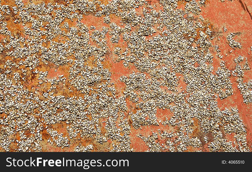 Background with rust metal texture