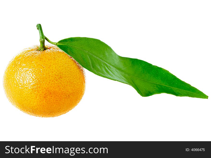 A closed up shot of a tangerine isolated on white with clipping path. A closed up shot of a tangerine isolated on white with clipping path