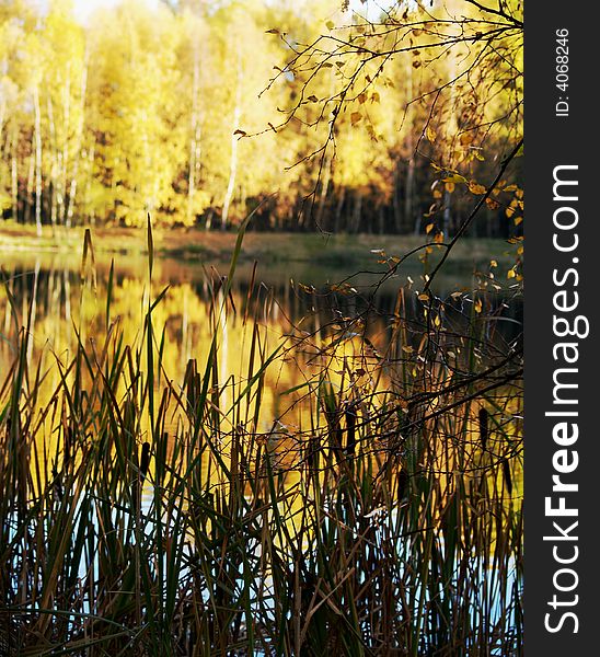 Walking in autumn pond thick colours