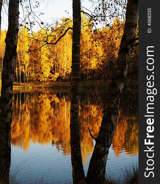 Walking in autumn pond thick colours