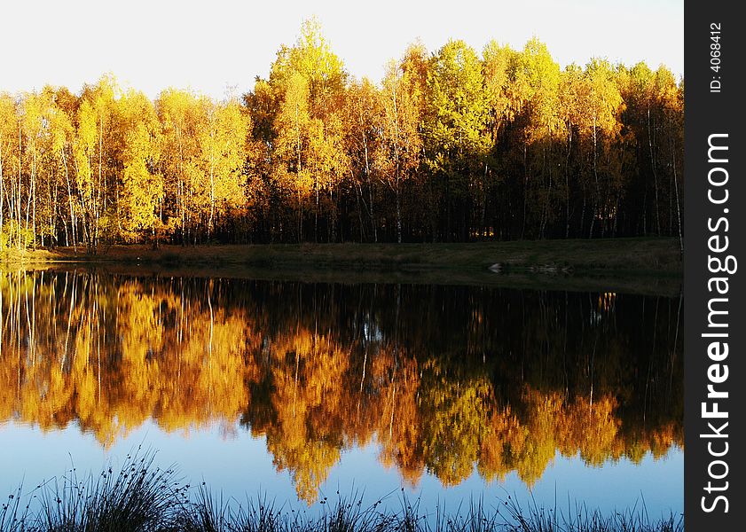 Walking in autumn pond thick colours