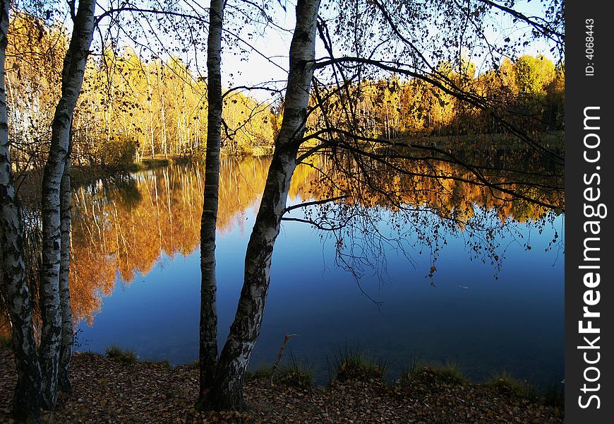 Walking in autumn pond thick colours